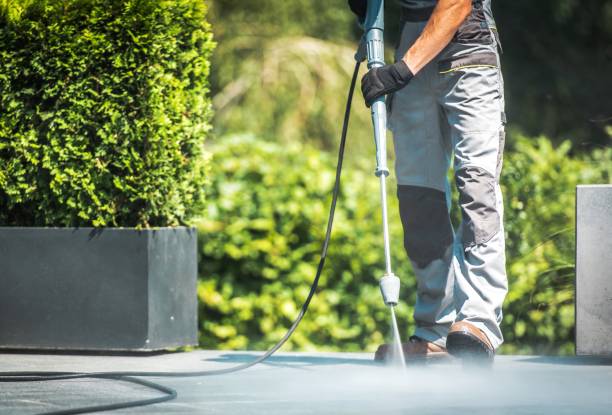Animal Enclosure Cleaning in Nags Head, NC